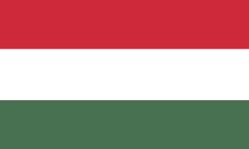 Distributor Hungary STS Analog STS Digital