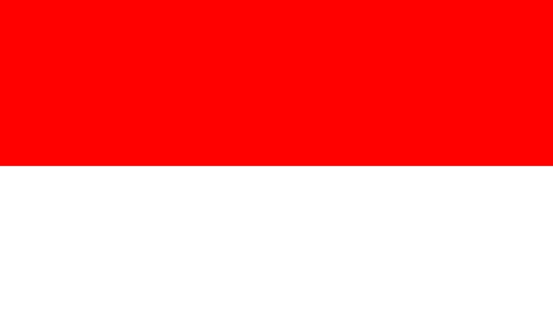 Distributor Indonesia STS Analog STS Digital